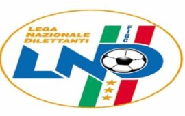 CAMPIONE D’ITALIA SERIE D, REGOLAMENTO E DATE PER L’ASSEGNAZIONE DEL TITOLO 2015/16