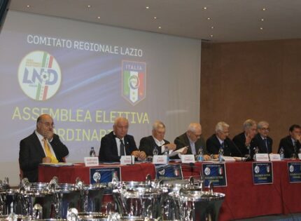 Assemblea Elettiva Dipartimento Interregionale della Serie D, il servizio