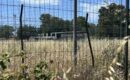 Campo sportivo di Falasche, il Comune cerca nuove risorse per la riqualificazione