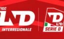Serie D: il 3 agosto l’organico, il 5 agosto in diretta su Instagram i gironi del campionato 2026/2027