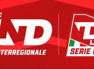 Serie D: rinviate al 5 agosto le ammissioni, i gironi posticipati al 6